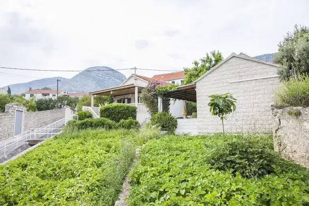 Apart Daire (Bungalow with terrace)