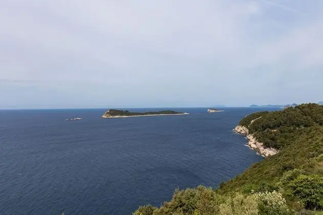 Apart Daire (One-Bedroom Apartment with Balcony)