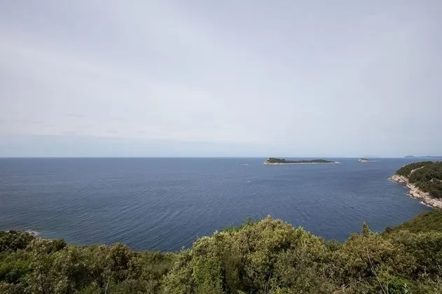 Apart Daire (One Bedroom Apartment with Terrace)