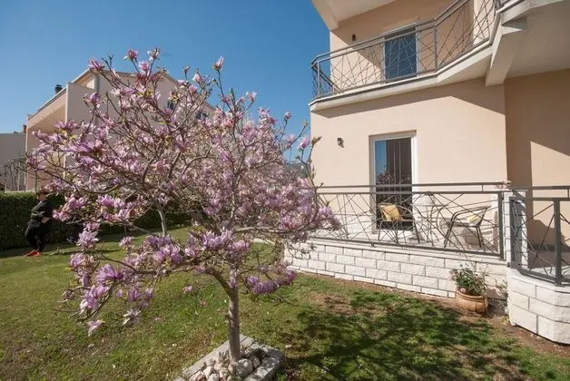 Standard Apart Daire, 1 Yatak Odası