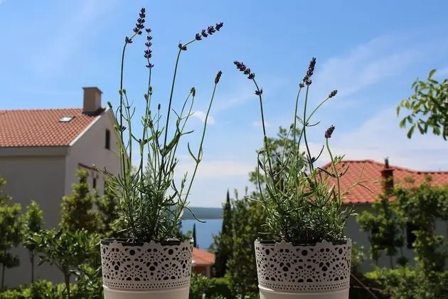 Apart Daire, 2 Yatak Odası, Deniz Manzaralı (1)