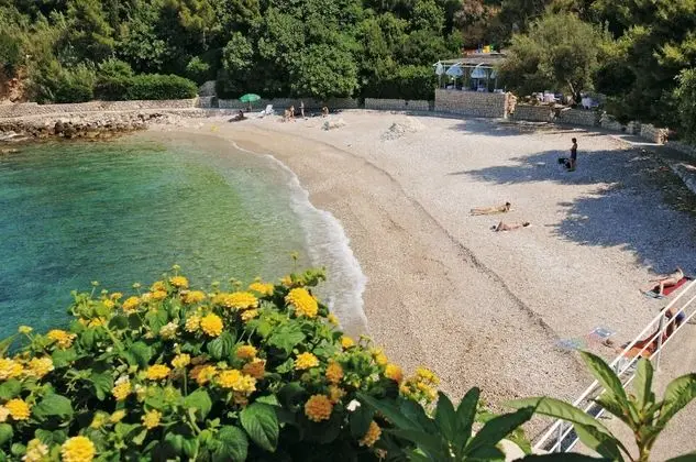 Apart Daire (Comfort 1 Bedroom Apt with Terrace)