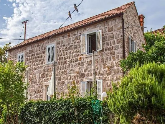 Stüdyo (Studio apartment with shared Terrace )