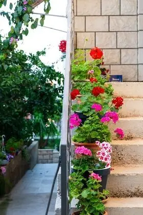 Apart Daire (Four Bedroom Apartment -Terrace and S)