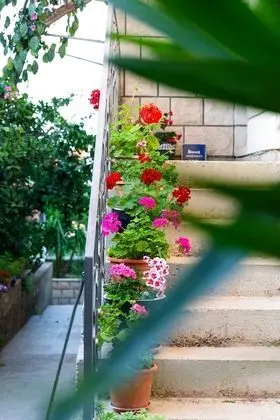 Apart Daire (Four Bedroom Apartment -Terrace and S)