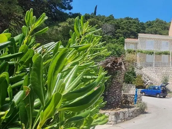 Apart Daire (Two Bedroom Apartment)