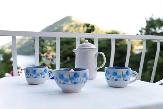 Stüdyo (Studio Apartment with Balcony)