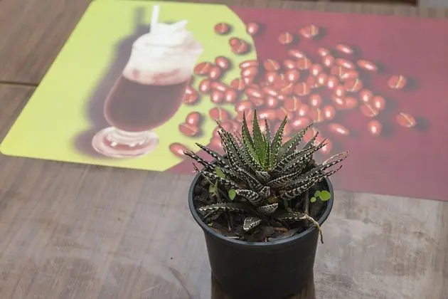 Standard Apart Daire, 1 Yatak Odası, Balkon, Deniz Manzaralı