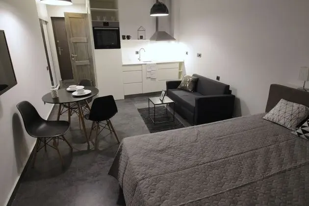 City Stüdyo, 1 Çift Kişilik Yatak, Şehir Manzaralı