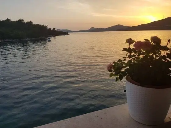 Stüdyo (Studio Apartment)