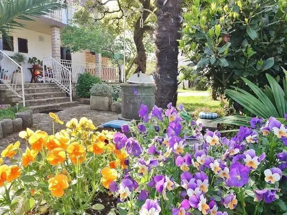 Apart Daire, 1 Çift Kişilik Yatak