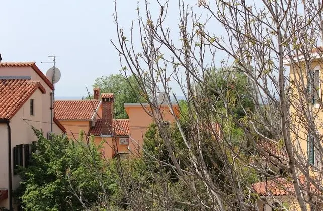 Apart Daire, 2 Yatak Odası, Balkon