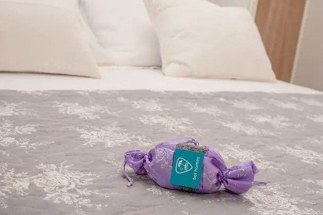 Deluxe Apart Daire, 2 Yatak Odası, Balkon, Deniz Manzaralı