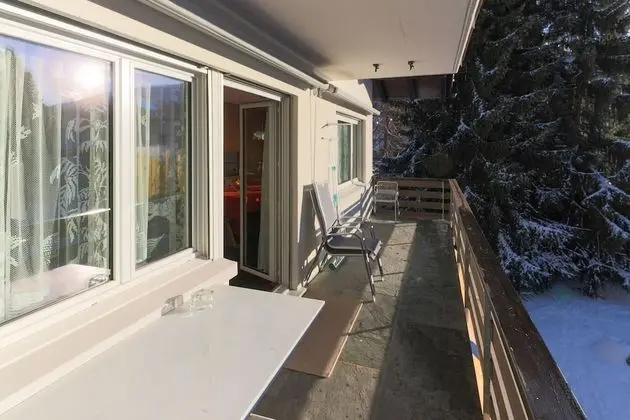 Apart Daire (MosbacherGr; Cleaning Fee 150 CHF)