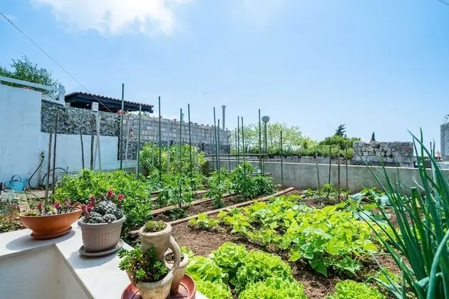 Apart Daire (One Bedroom Apartment 1)