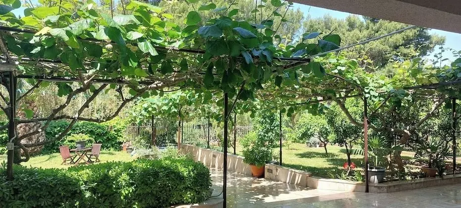 Apart Daire, 1 Yatak Odası, Bahçe Manzaralı