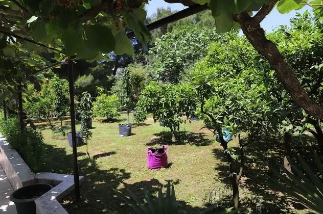 Apart Daire, 1 Yatak Odası, Bahçe Manzaralı