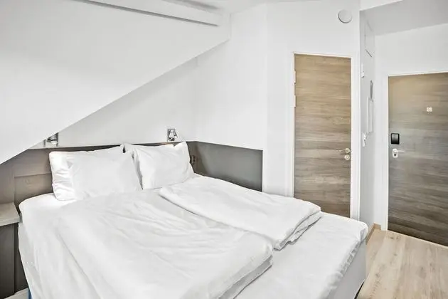 Basic Tek Büyük Yataklı Oda, Özel Banyo