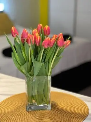 Stüdyo, 1 En Büyük (King) Boy Yatak