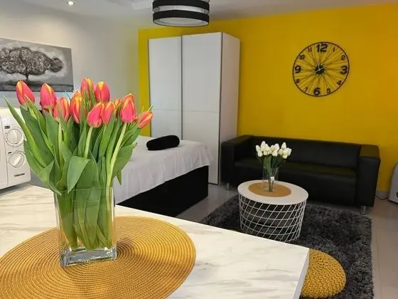 Stüdyo, 1 En Büyük (King) Boy Yatak