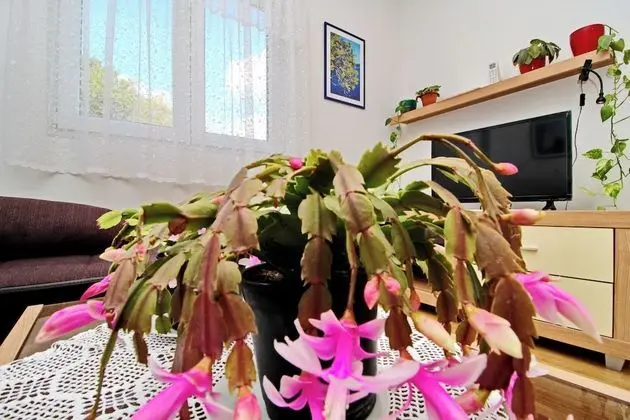 Apart Daire (One Bedroom Apartment with Balcony)