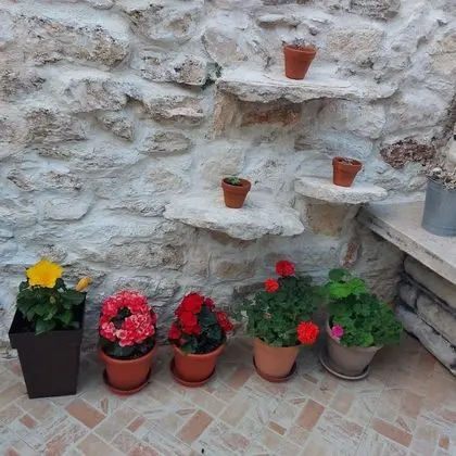 Stüdyo, Teras