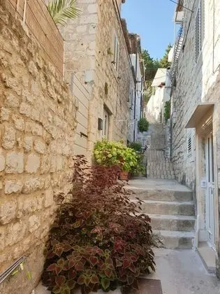 Stüdyo, Teras