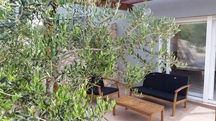 Comfort Apart Daire, Teras, Bahçe Manzaralı (Olive Garden A2)