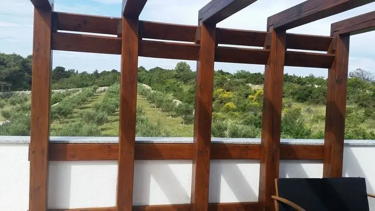 Ev