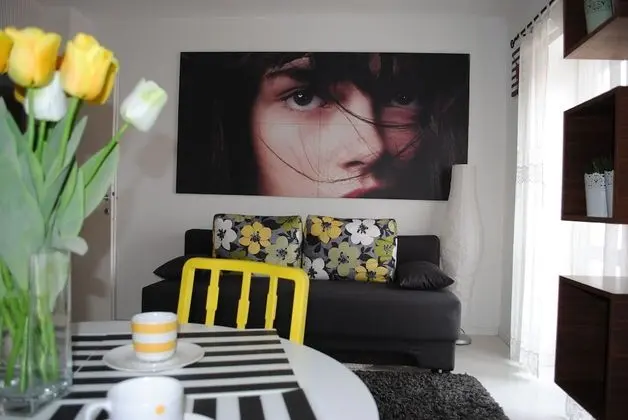 Apart Daire, 1 Yatak Odası