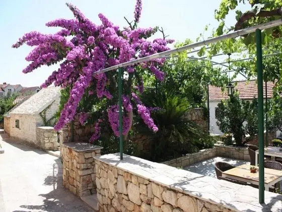 Apart Daire (Apartments Paloc - One-Bedroom Apartm)