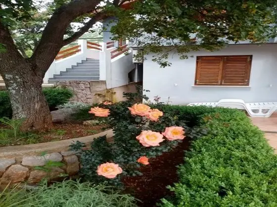 Stüdyo (Studio Apartment with Terrace and Sea)