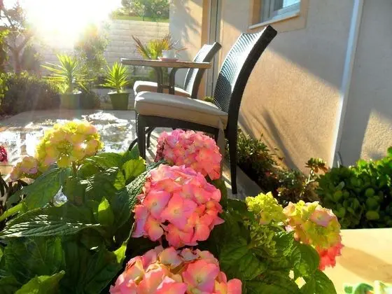 Comfort Apart Daire, 1 Yatak Odası, Teras