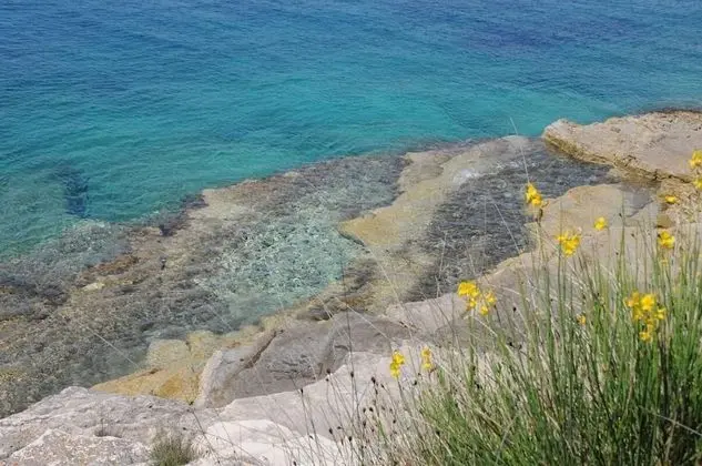 Apart Daire, 2 Yatak Odası, Veranda