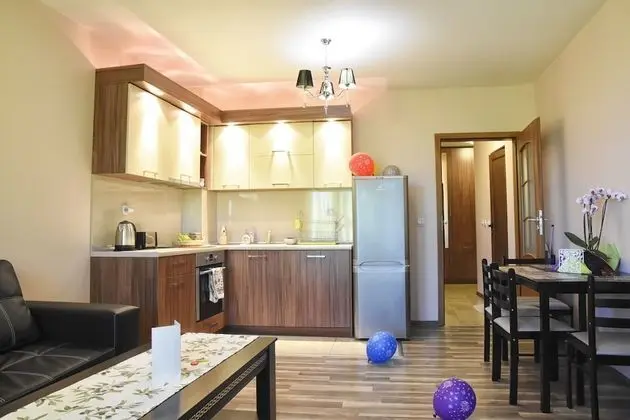 Exclusive Süit, 1 Yatak Odası, Balkon, Şehir Manzaralı