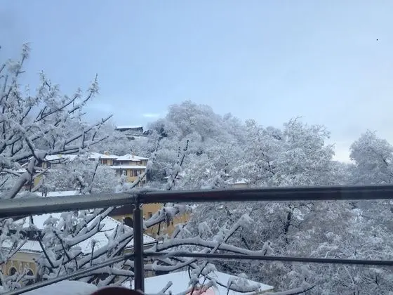 Exclusive Süit, 1 Yatak Odası, Balkon, Şehir Manzaralı