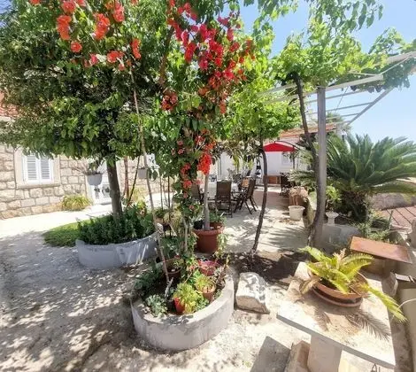 Comfort Stüdyo, 1 Büyük (Queen) Boy Yatak