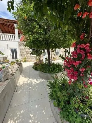 Comfort Stüdyo Süit, 1 Büyük (Queen) Boy Yatak