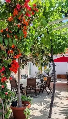 Comfort Stüdyo Süit, 1 Büyük (Queen) Boy Yatak