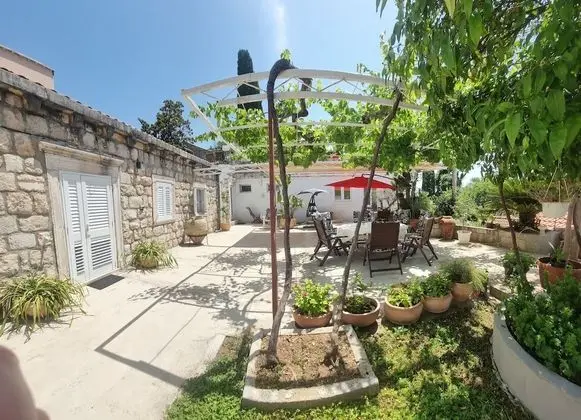 Comfort Stüdyo Süit, 1 Büyük (Queen) Boy Yatak