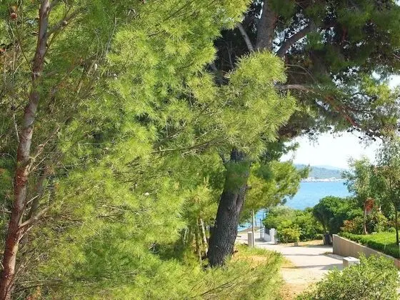 Apart Daire (One Bedroom Apartment with Terrace)