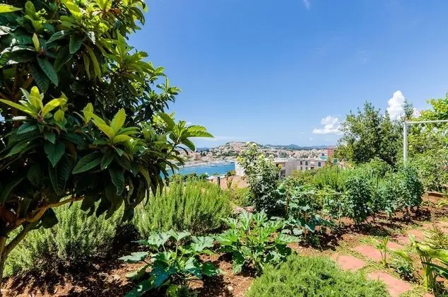 Apart Daire (Comfort One Bedroom Apartment)
