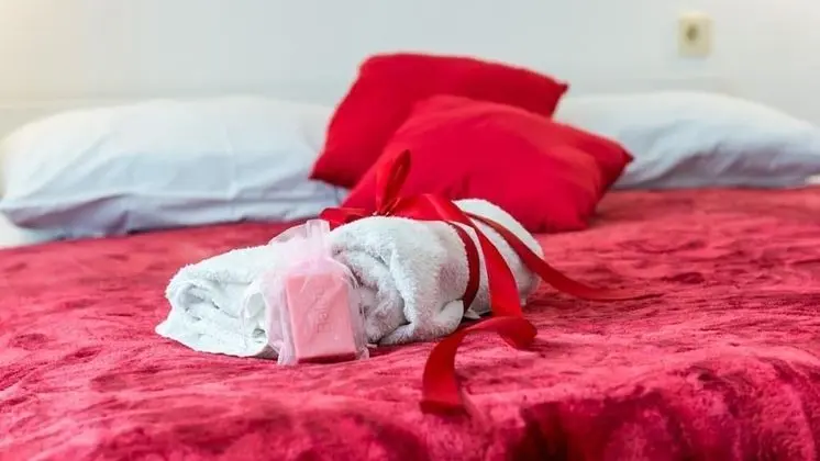 Apart Daire, 1 Yatak Odası, Teras, Deniz Manzaralı