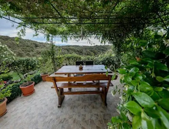 Tek Büyük Yataklı Oda (Double Room with Balcony)
