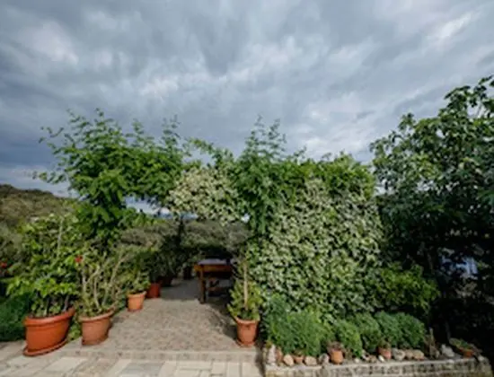 Tek Büyük Yataklı Oda (Double Room with Balcony and Sea View)