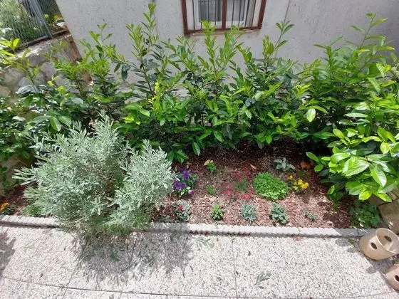 Tek Büyük Yataklı Oda, Bahçe Manzaralı (1)