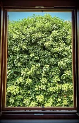 Gallery Çatı Katı (Loft)