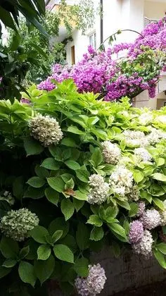 Apart Daire, 1 Yatak Odası, Bahçe Manzaralı