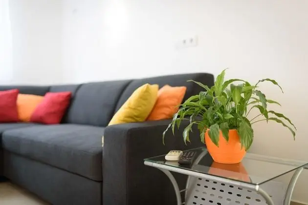 Apart Daire, 2 Yatak Odası, Teras