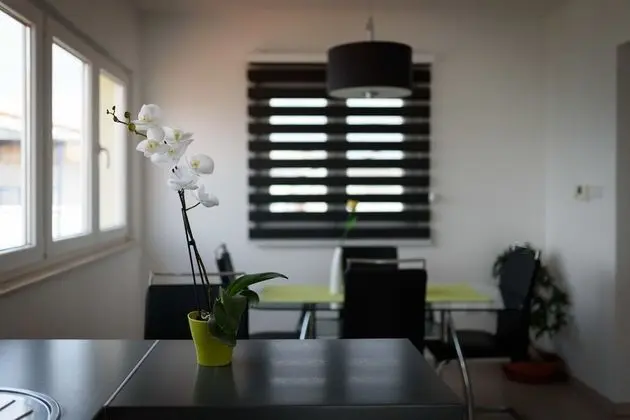 Çatı Katı Süiti (Penthouse), Teras, Deniz Manzaralı